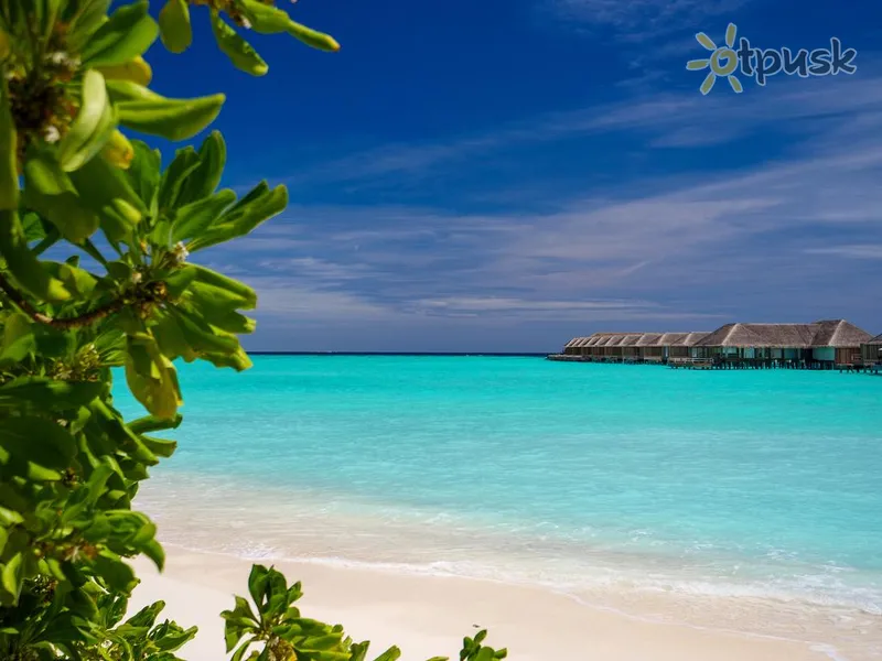 Фото отеля Baglioni Resort Maldives 5* Dhaalu atols Maldīvija pludmale