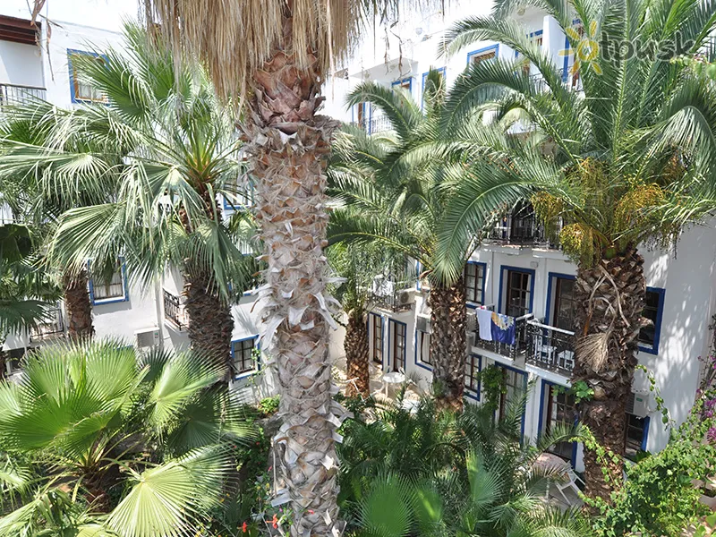 Фото отеля Sami Beach Hotel 3* Bodruma Turcija ārpuse un baseini