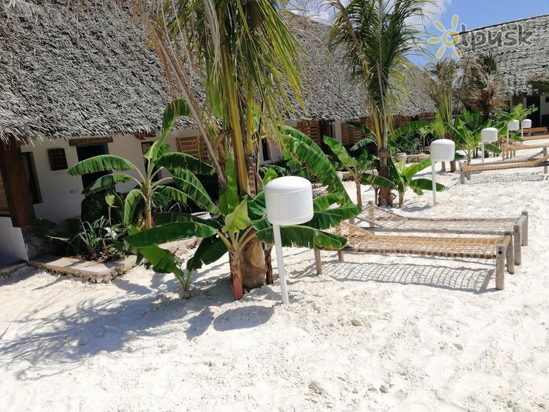 Фото отеля Fun Beach 3* Джамбиани Танзания прочее