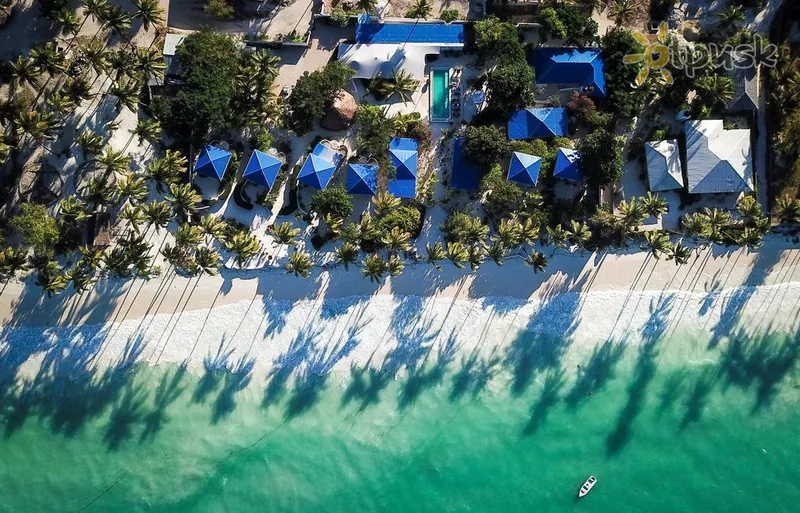 Фото отеля Indigo Beach Zanzibar 3* Бведжу Танзания пляж