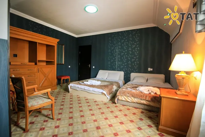 Фото отеля Georgian Palace 3* Тбілісі Грузія номери