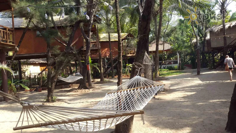 Фото отеля Goan Cafe Beach Resort 2* Північний Гоа Індія екстер'єр та басейни