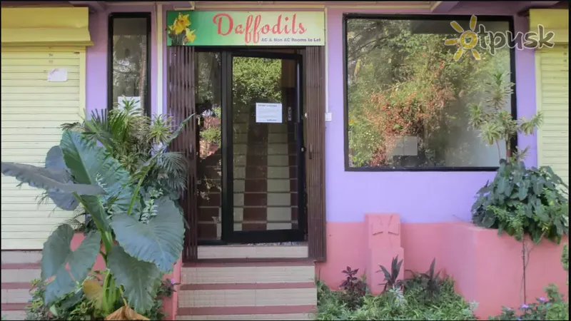 Фото отеля Daffodils Guest House 3* Северный Гоа Индия экстерьер и бассейны