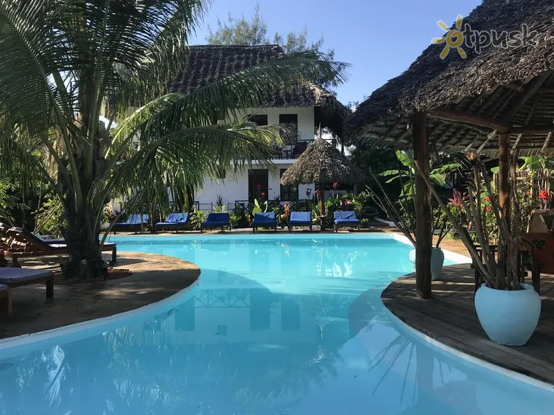 Фото отеля Aluna Nungwi 3* Nungvi Tanzānija ārpuse un baseini