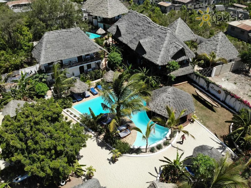 Фото отеля Aluna Nungwi 3* Нунгві Танзанія екстер'єр та басейни