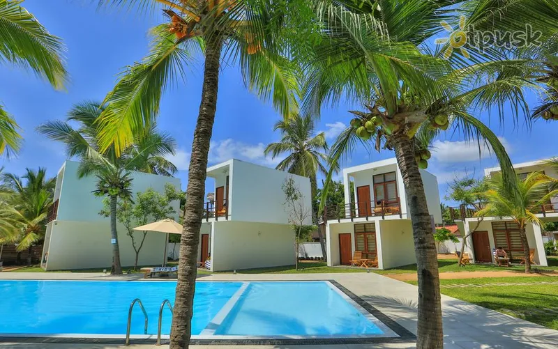 Фото отеля Arugambay Roccos 4* Аругам-Бей Шрі Ланка екстер'єр та басейни