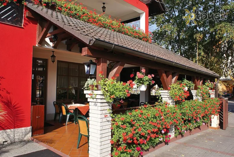 Фото отеля Korona Pension & Restaurant 3* Heviz Ungārija ārpuse un baseini