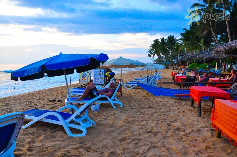 Фото отеля Blue Note Hotel 2* Hikaduva Šrilanka pludmale