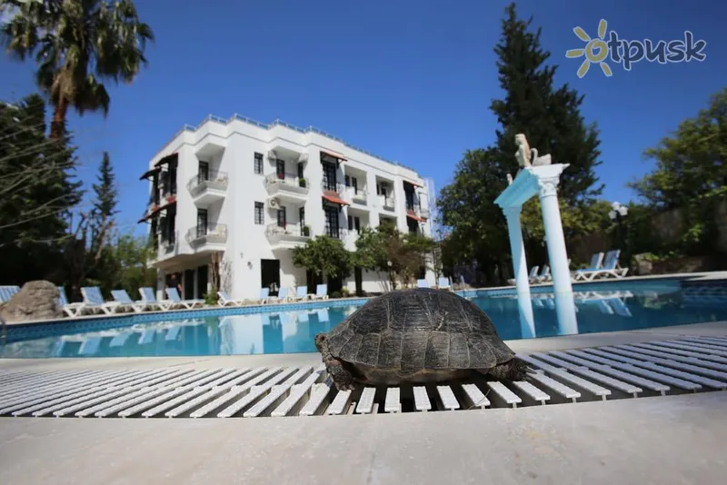 Фото отеля Green Valley Boutique Hotel 3* Кемер Туреччина екстер'єр та басейни
