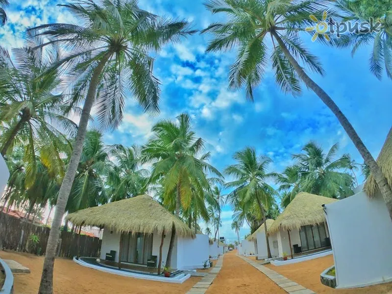 Фото отеля Seth Dev Lagoon Chalets 3* Калпития Шри-Ланка номера
