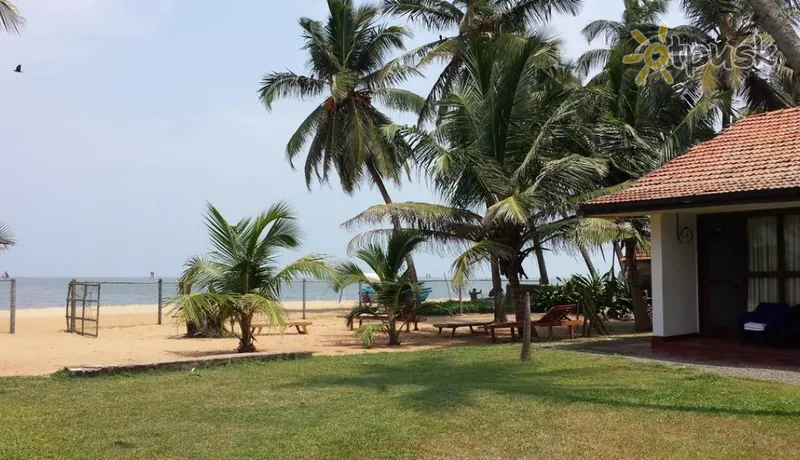 Фото отеля Ceylonica Beach Hotel 2* Негомбо Шри-Ланка пляж
