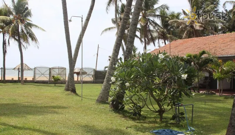 Фото отеля Ceylonica Beach Hotel 2* Negombo Šrilanka ārpuse un baseini