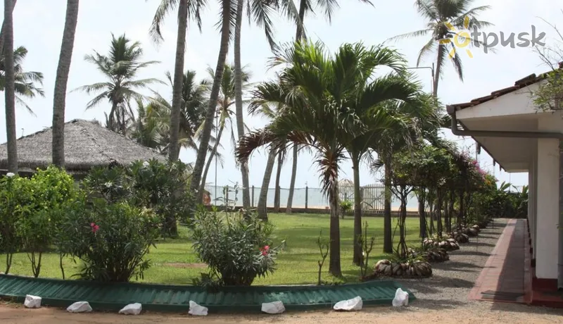 Фото отеля Ceylonica Beach Hotel 2* Негомбо Шри-Ланка экстерьер и бассейны