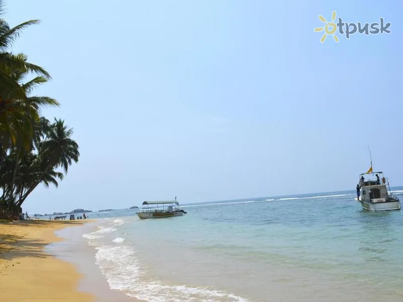 Фото отеля The Finz 2* Хіккадува Шрі Ланка пляж