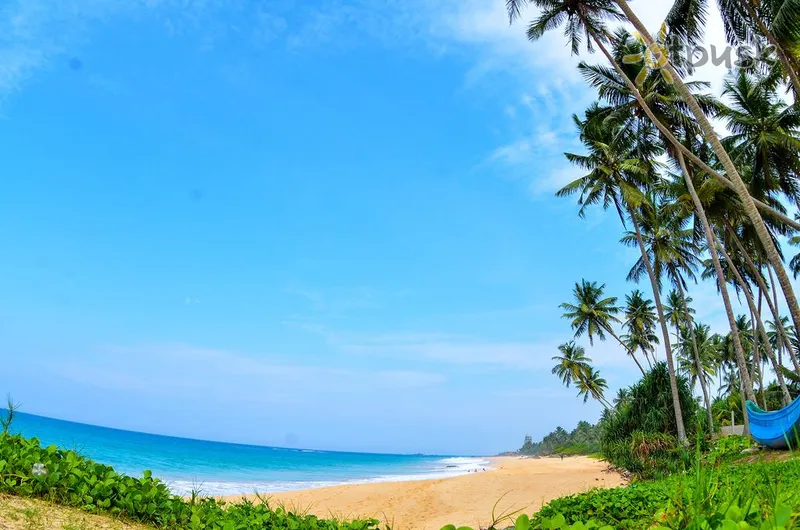 Фото отеля Rainbow Beach Hotel 2* Амбалангода Шри-Ланка пляж