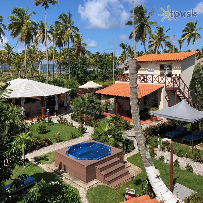Фото отеля 21 Palms B&B 3* Самана Доминикана прочее