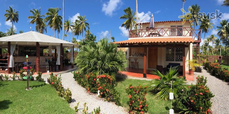 Фото отеля 21 Palms B&B 3* Самана Доминикана бары и рестораны