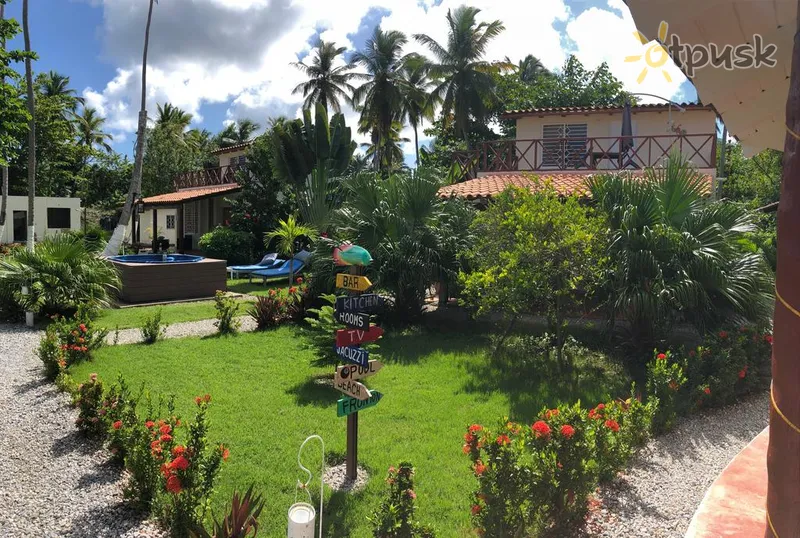 Фото отеля 21 Palms B&B 3* Samana Dominikos Respublika kita