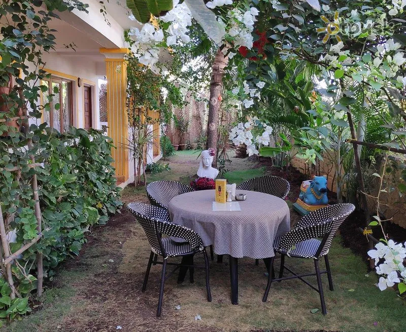 Фото отеля Daily Grind Cafe & Lodge 2* Šiaurės Goa Indija kita