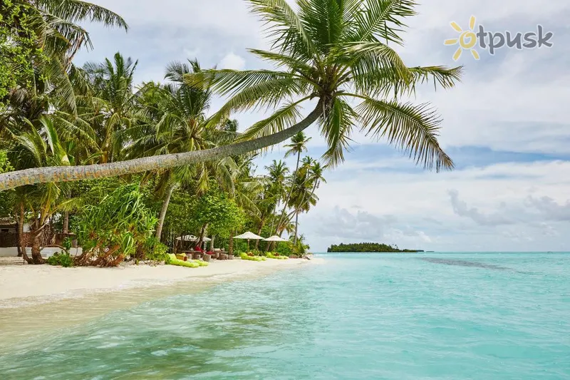 Фото отеля Como Maalifushi 5* Thaa atolas Maldyvai papludimys