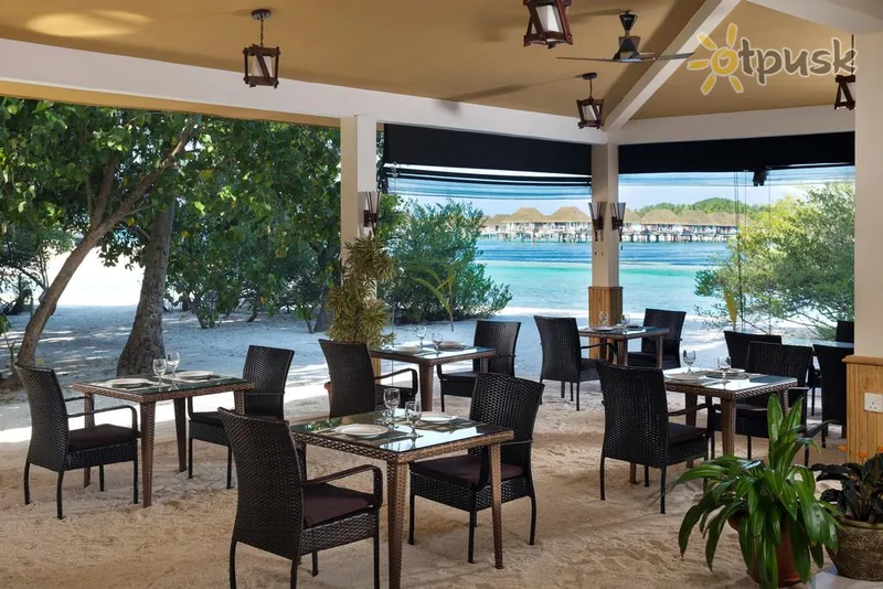Фото отеля Pearl Sands of Maldives 4* Северный Мале Атолл Мальдивы бары и рестораны