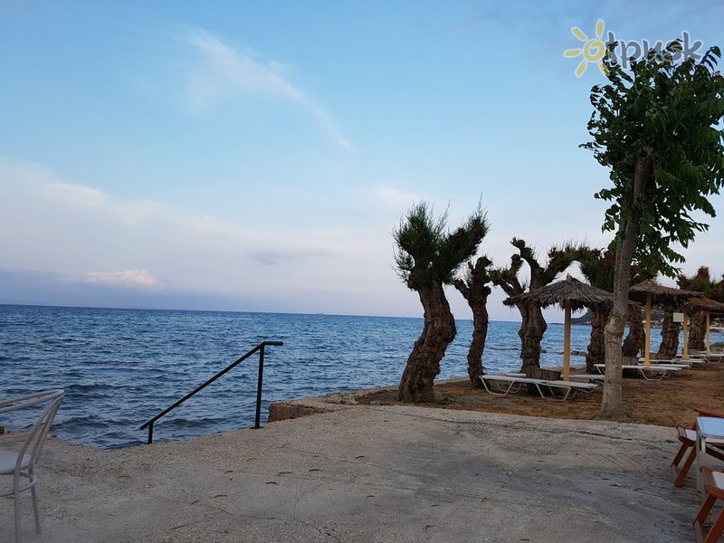 Фото отеля Mimoza Beach Resort 3* о. Закинф Греция пляж