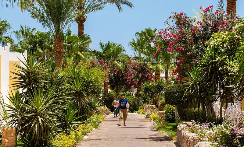 Фото отеля Mirage Bay Resort & Aquapark Lilly Land 4* Хургада Египет экстерьер и бассейны