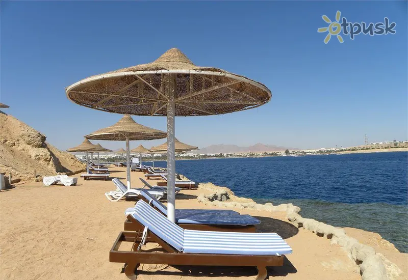 Фото отеля Grand Halomy Resort 3* Šarm el Šeichas Egiptas papludimys
