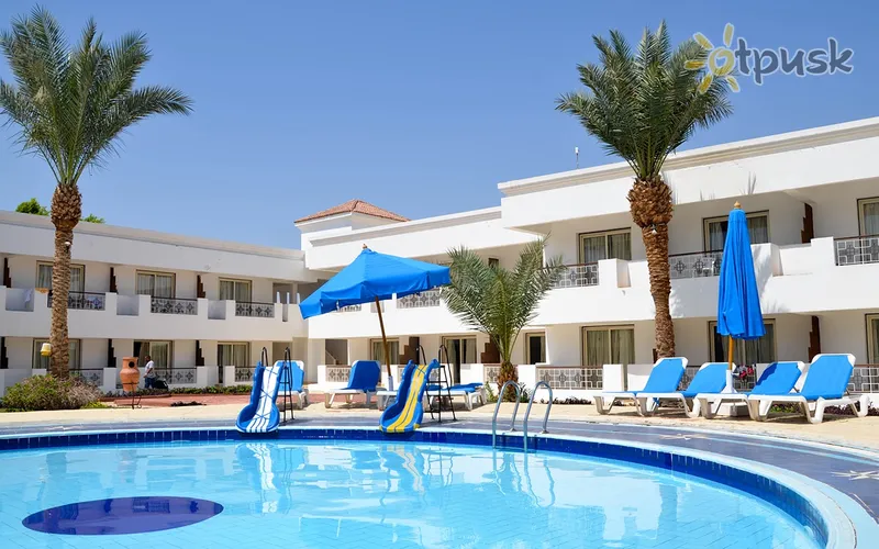 Фото отеля Viva Sharm Hotel 3* Шарм ель шейх Єгипет екстер'єр та басейни