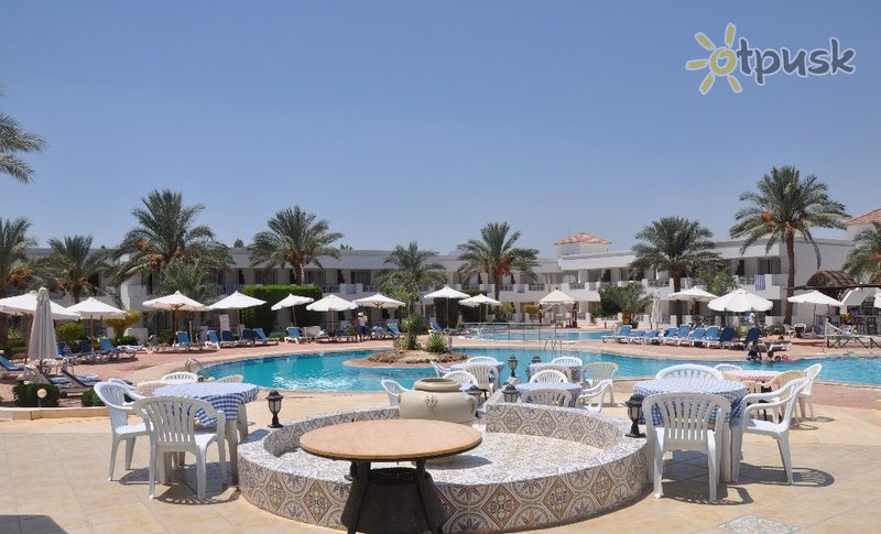 Фото отеля Viva Sharm Hotel 3* Шарм эль Шейх Египет бары и рестораны