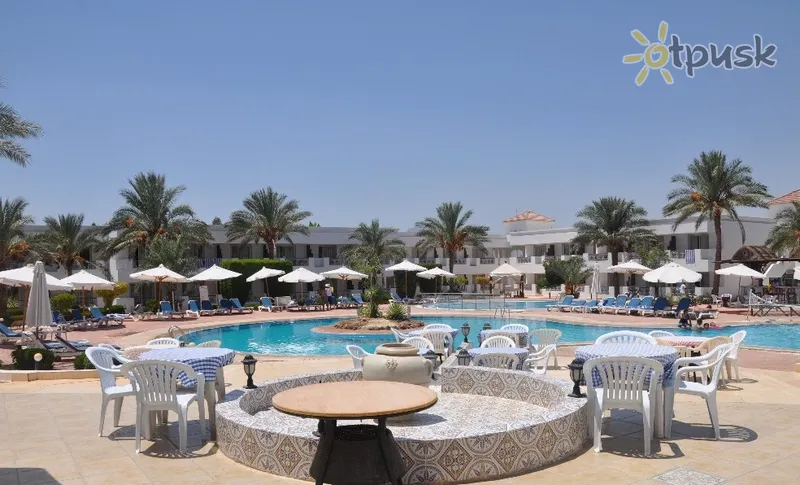 Фото отеля Viva Sharm Hotel 3* Шарм ель шейх Єгипет бари та ресторани