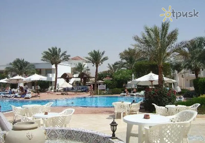 Фото отеля Viva Sharm Hotel 3* Šarm el Šeichas Egiptas barai ir restoranai