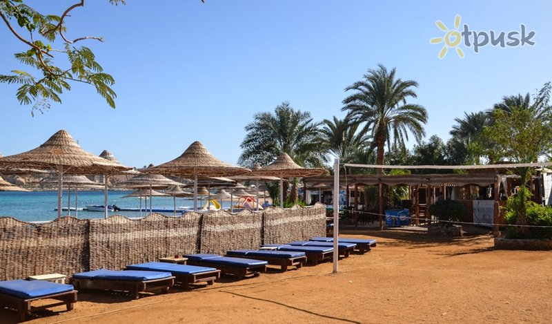Фото отеля Old Vic Sharm 4* Шарм эль Шейх Египет пляж
