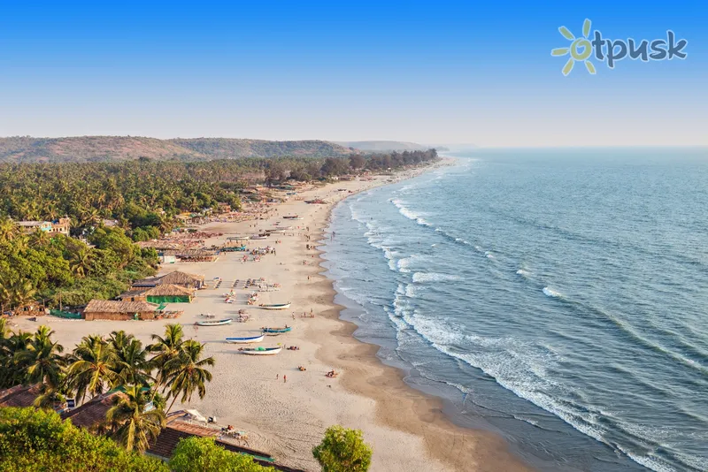 Фото отеля Wave & Sky 1* Северный Гоа Индия пляж