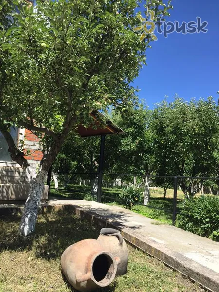 Фото отеля Apple Tree Family House (ECO) 2* Diližāns Armēnija ārpuse un baseini