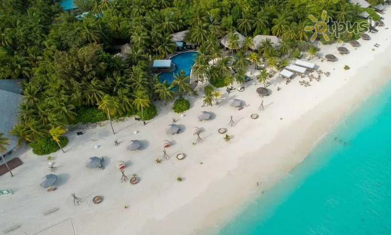 Фото отеля Kihaa Maldives 5* Baa atolas Maldyvai papludimys