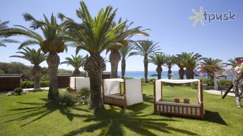 Фото отеля Alion Beach Hotel 5* Ayia Napa Kipras papludimys