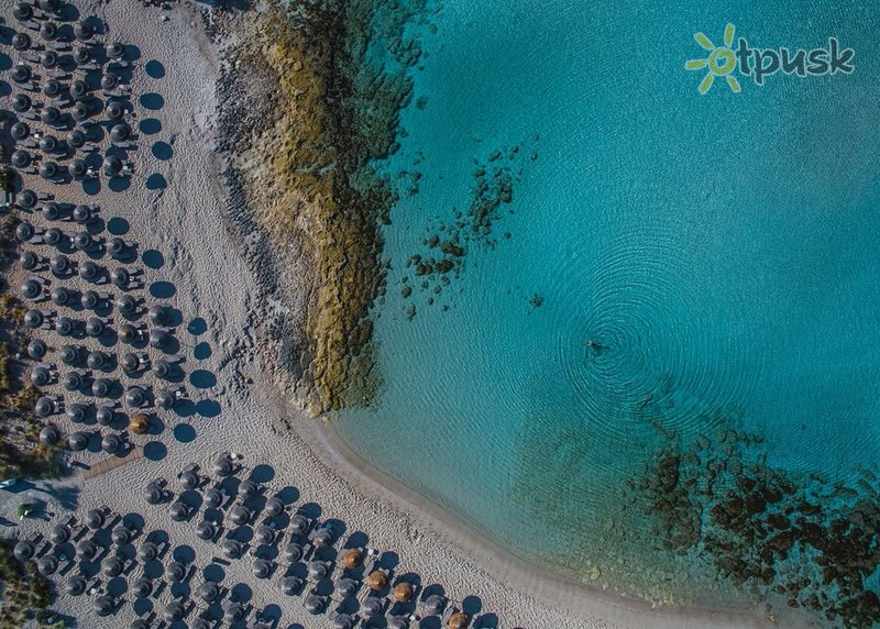 Фото отеля Nissi Beach Resort 4* Айя Напа Кипр пляж