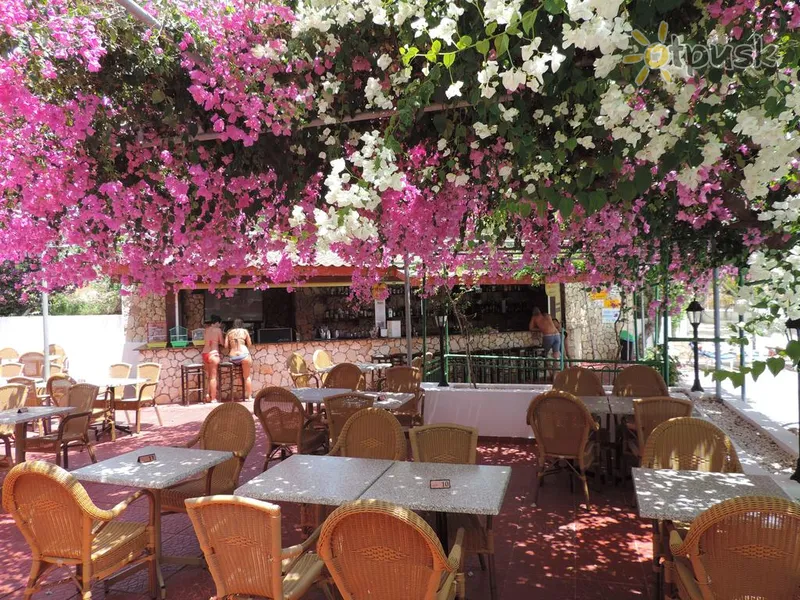 Фото отеля Corfu 3* Ayia Napa Kipras barai ir restoranai