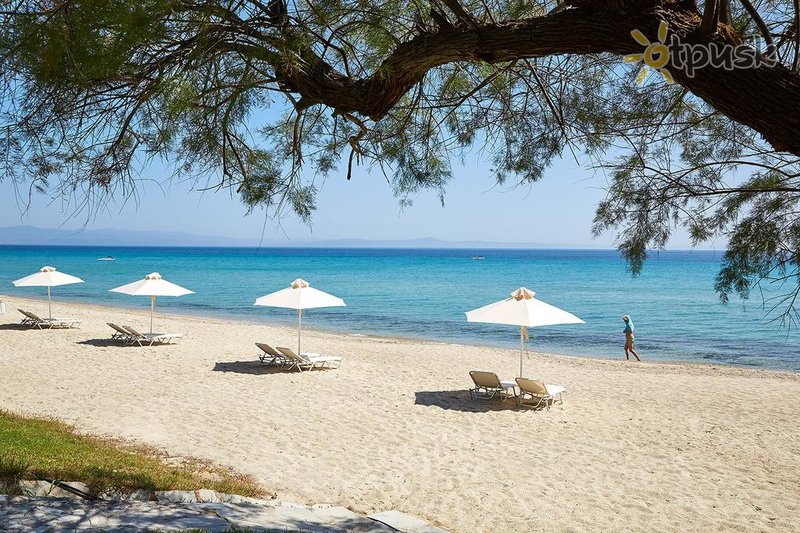 Фото отеля Bomo Pallini Beach Hotel 4* Халкидики – Кассандра Греция пляж