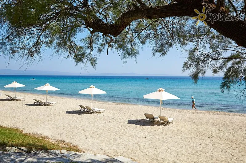 Фото отеля Bomo Pallini Beach Hotel 4* Chalkidikė – Kasandra Graikija papludimys
