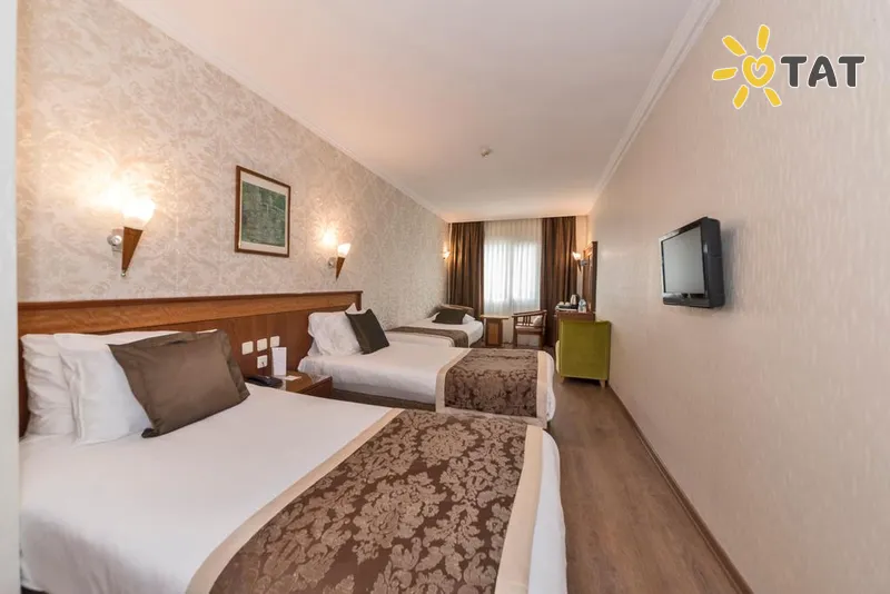 Фото отеля Lion Hotel 4* Стамбул Турция