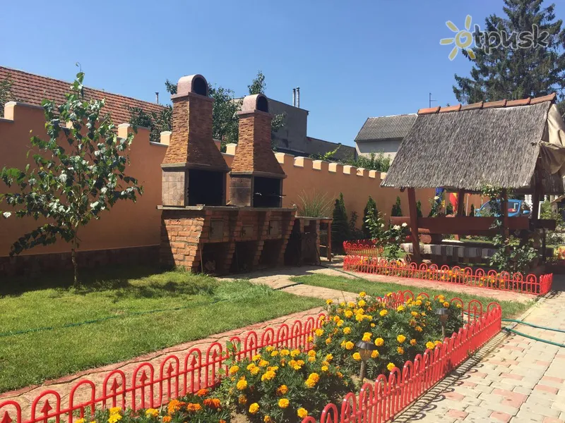 Фото отеля Magnat Villa 2* Berehove Ukraina – Karpatai išorė ir baseinai