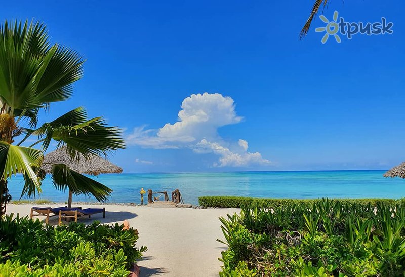 Фото отеля The Zanzibari Boutique Hotel 4* Нунгви Танзания пляж