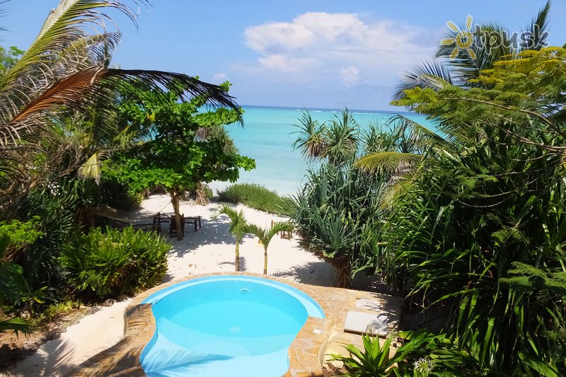 Фото отеля The Zanzibari Boutique Hotel 4* Нунгви Танзания экстерьер и бассейны