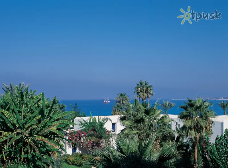 Фото отеля Azia Resort & Spa 5* Пафос Кіпр інше
