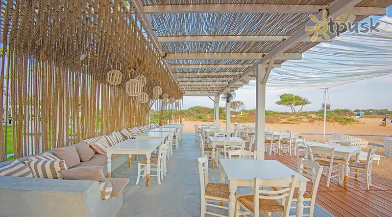 Фото отеля The Dome Beach Hotel 4* Айя Напа Кіпр бари та ресторани