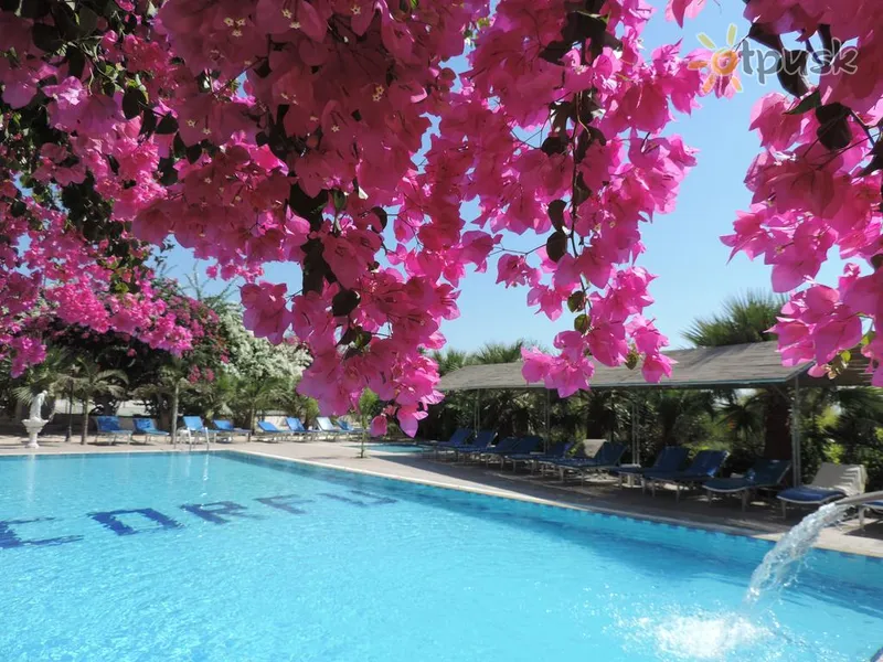 Фото отеля Corfu 3* Aija Napa Kipra ārpuse un baseini