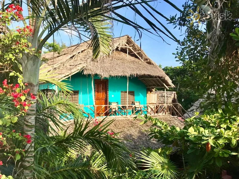 Фото отеля Bellevue Zanzibar 3* Бведжу Танзанія екстер'єр та басейни