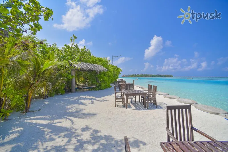 Фото отеля Rashu Hiyaa 3* Северный Мале Атолл Мальдивы пляж